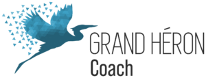Grand Héron International Coaches